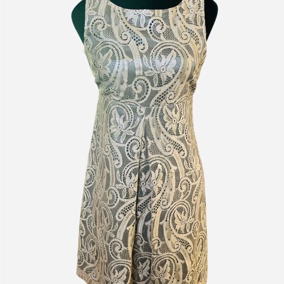Tibi Lace Dress Size 4 Sleeveless Bronze Semi-Formal Party Mini in Classic Cut - Picture 1 of 8